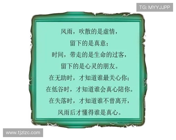 遇见，不只是一场邂逅，更是灵魂的共鸣